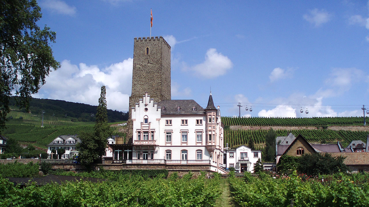 Die Boosenburg mit ihrem Turm vor den Rüdesheimer Weinbergen